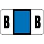 Safeguard Compatible "B" Labels, Laminated Stock, 15/16" X 1-5/8" Individual Letters - Pack of 240