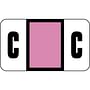 Safeguard Compatible "C" Labels, Laminated Stock, 15/16" X 1-5/8" Individual Letters - Pack of 240