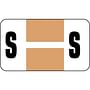 Safeguard Compatible "S" Labels, Laminated Stock, 15/16" X 1-5/8" Individual Letters - Pack of 240