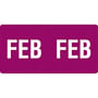 Smead ETS Compatible "Feb" Month Labels, Laminated Stock,1/2" x 1", Individual Months - Pack of 250