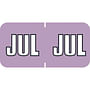 Sycom SYET Compatible "Jul" Month Labels, Laminated Stock,1-1/2" x 3/4", Individual Months - Pack of 252