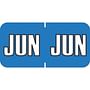 Sycom SYET Compatible "Jun" Month Labels, Laminated Stock,1-1/2" x 3/4", Individual Months - Pack of 252