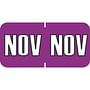 Sycom SYET Compatible "Nov" Month Labels, Laminated Stock,1-1/2" x 3/4", Individual Months - Pack of 252