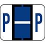 Smead Compatible "P" Labels, Polylaminated Stock, 1" X 1-1/4" Individual Letters - Pack of 120