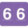 Barkley VA Hospital Compatible Numeric "6" Labels, Laminated Stock, 1/2" X 1" Individual Numbers - Roll of 1000