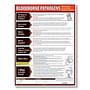 ComplyRight Bloodborne Pathogens Poster (English) 18" x 24" - 1 per Pack