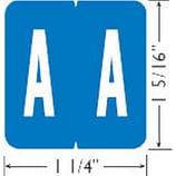 GBS Compatible File Labels - The Supplies Shops